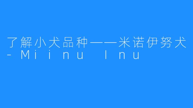 了解小犬品种——米诺伊努犬-Miinu Inu