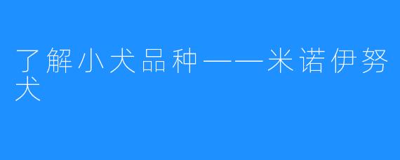 了解小犬品种——米诺伊努犬