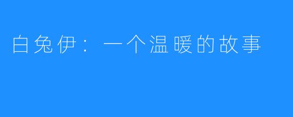 白兔伊:一个温暖的故事