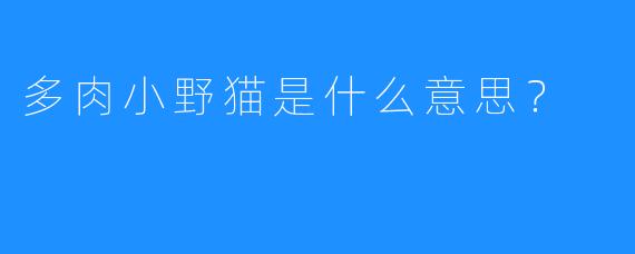 多肉小野猫是什么意思？