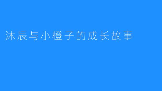 沐辰与小橙子的成长故事