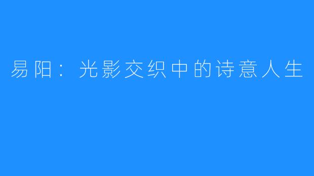易阳:光影交织中的诗意人生