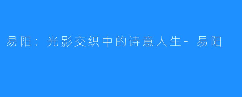 易阳:光影交织中的诗意人生-易阳