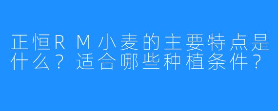 正恒RM小麦的主要特点是什么？适合哪些种植条件？