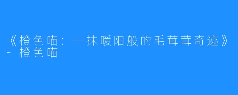 《橙色喵:一抹暖阳般的毛茸茸奇迹》-橙色喵