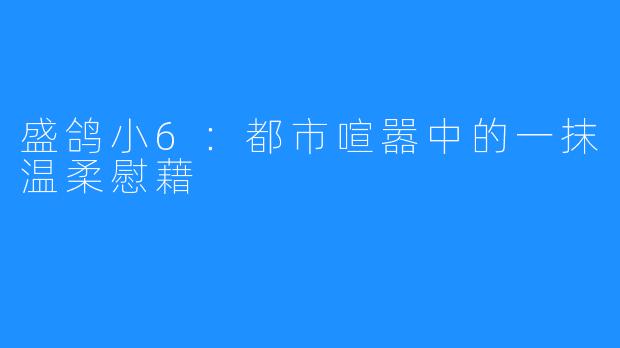 盛鸽小6:都市喧嚣中的一抹温柔慰藉