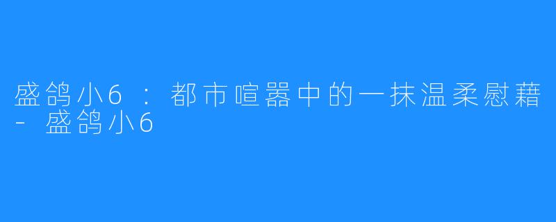 盛鸽小6:都市喧嚣中的一抹温柔慰藉-盛鸽小6