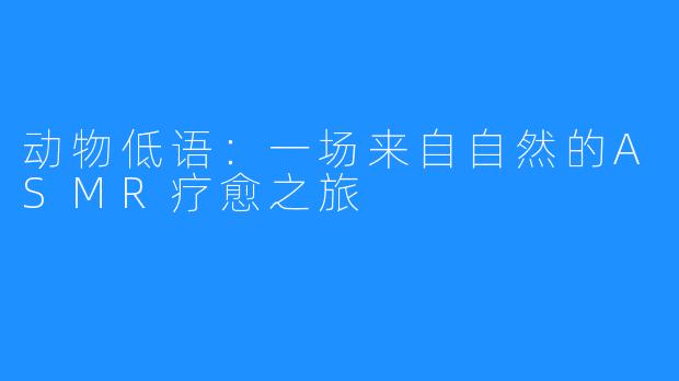 动物低语：一场来自自然的ASMR疗愈之旅